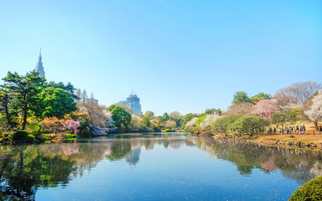 Shinjuku Gyoen National Garden
